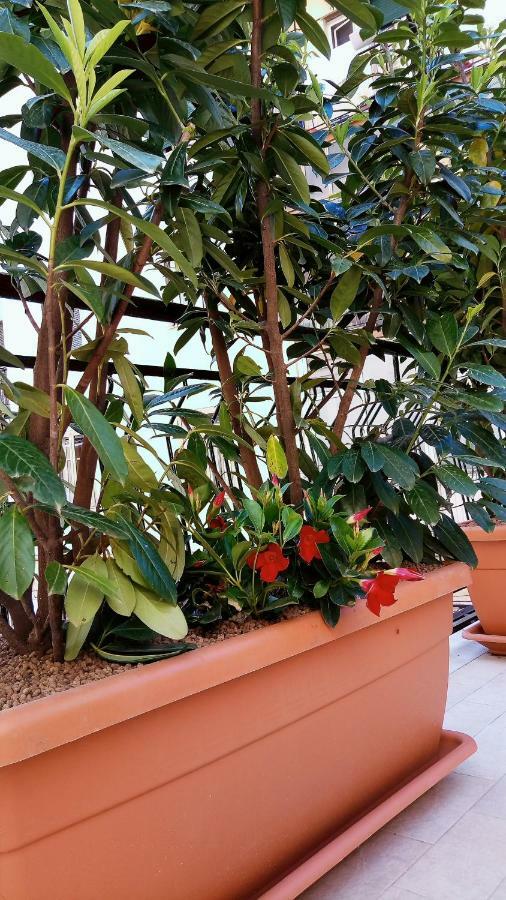B&B Malaga Salerno Exteriör bild